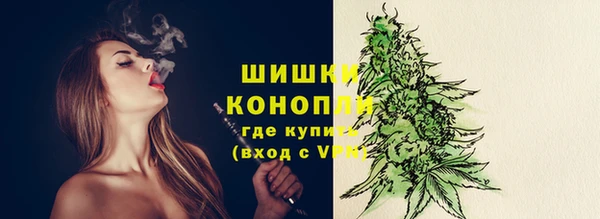хмурый Каменногорск