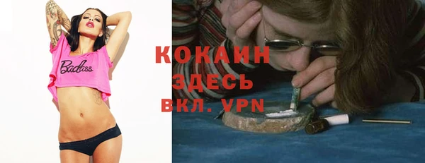 mix Инта