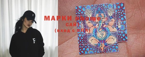 mix Инта
