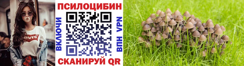 Купить  Звенигород  Галлюциногенные грибы мухоморы 